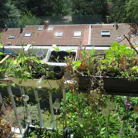 Beau 4 Pieces Dans Coin De Verdure Apartman *