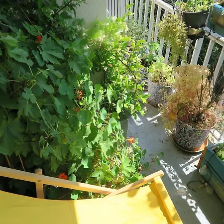 Beau 4 Pieces Dans Coin De Verdure Apartman *