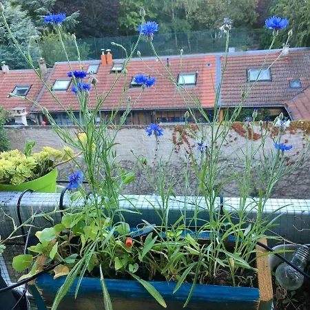 Apartman Beau 4 Pieces Dans Coin De Verdure *