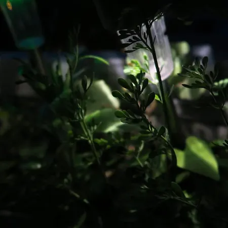 Appartement Beau 4 Pieces Dans Coin De Verdure