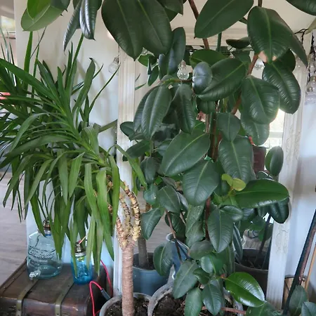 Апартаменты Beau 4 Pieces Dans Coin De Verdure Париж