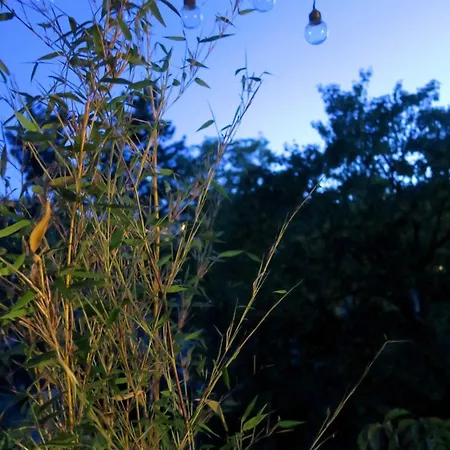 Beau 4 Pieces Dans Coin De Verdure Appartement Parijs