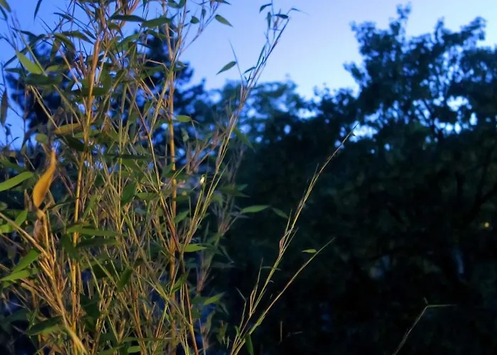 Beau 4 Pieces Dans Coin De Verdure شقة باريس