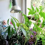 Apartmán Beau 4 Pieces Dans Coin De Verdure *