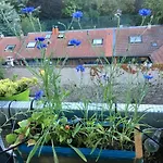 Apartmán Beau 4 Pieces Dans Coin De Verdure *