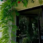 Apartmán Beau 4 Pieces Dans Coin De Verdure
